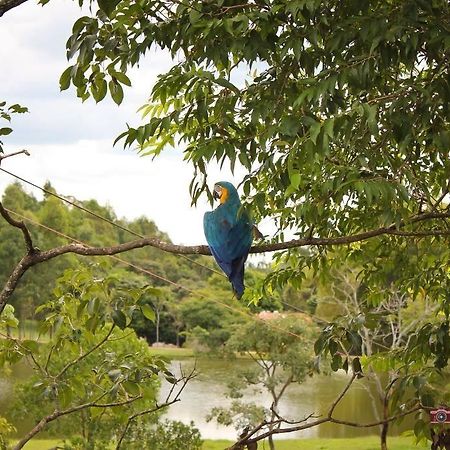 Pousada Fazenda Buracao モコカ エクステリア 写真