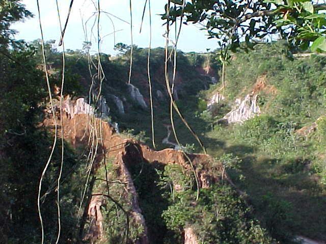 Pousada Fazenda Buracao モコカ エクステリア 写真