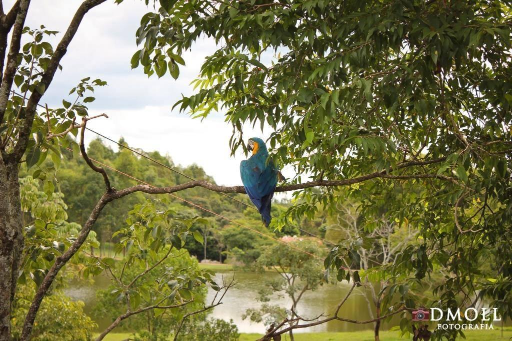 Pousada Fazenda Buracao モコカ エクステリア 写真